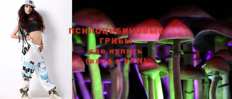 Псилоцибиновые грибы MAGIC MUSHROOMS  наркошоп  Североморск 